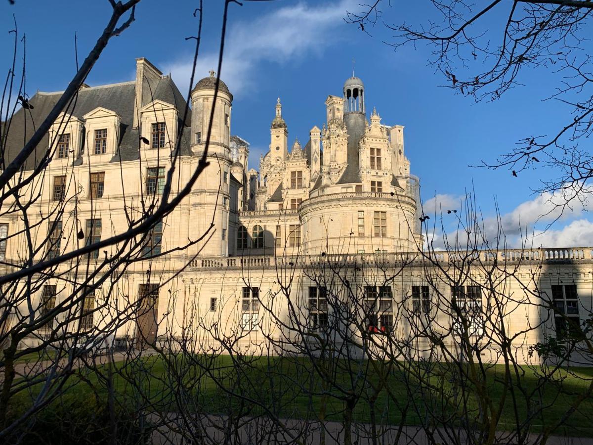 Au Coeur Des Chateaux Chambon-sur-Cisse Exterior photo